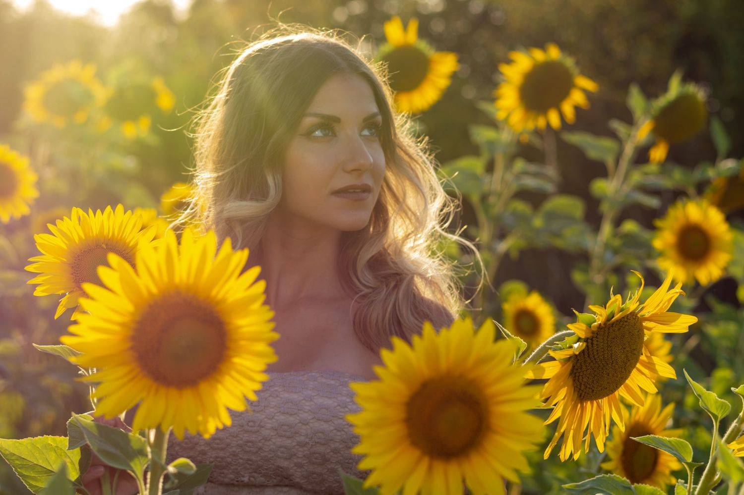 ,  Светослав Радков