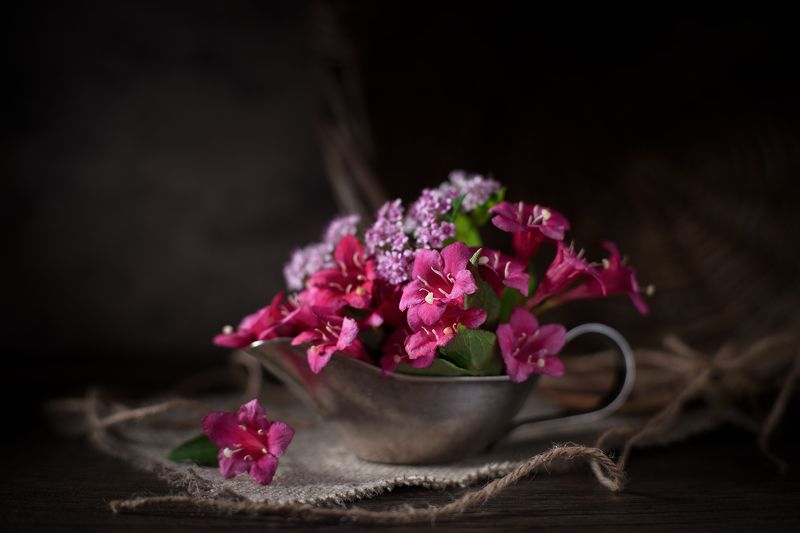 цветы, лето, солнце ***photo preview