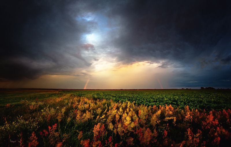 Беларусь Край дождяphoto preview