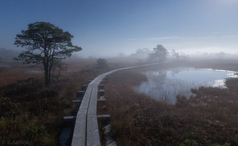 пейзаж, природа, болото, эстония, туман, ночь, ночь на болоте, elvis antson Тропинка в Царство Тумановphoto preview