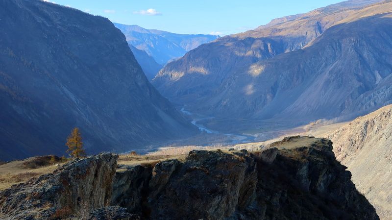 алтай,осень,лиственница,скала Лиственница на скалеphoto preview