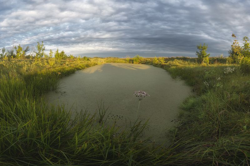 пейзаж полтава великие сорочинцы Клумба на болотахphoto preview
