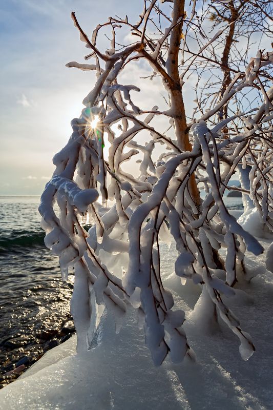 В декабреphoto preview