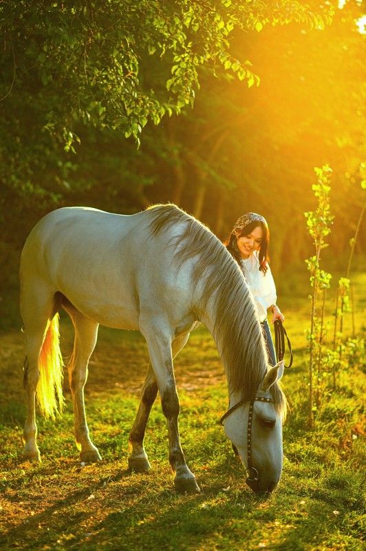 лошадь, закат, horse, sunset Бонитаphoto preview