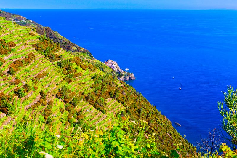 Деревня Манарола и виноградники Чинкве Терре, Италияphoto preview