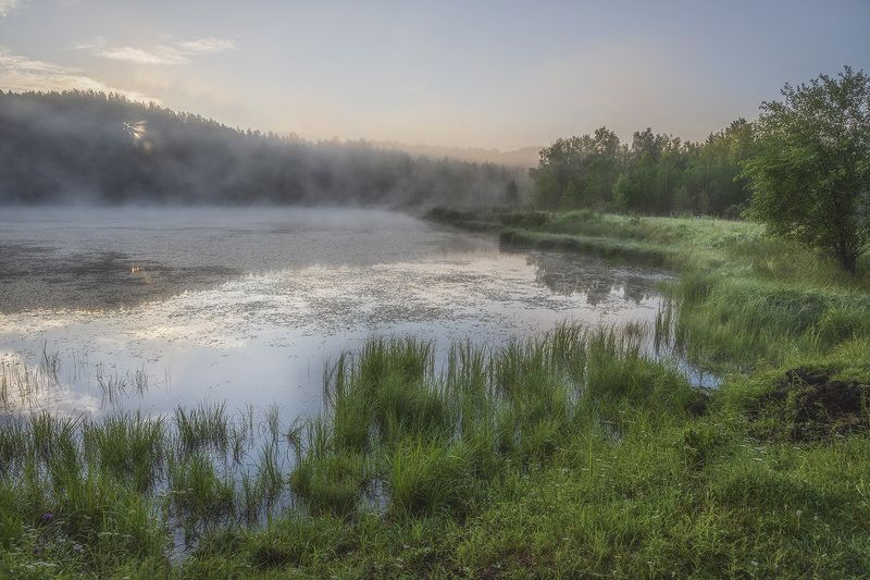 утро, пруд, пейзаж, туман, рассвет Утро на старом прудуphoto preview