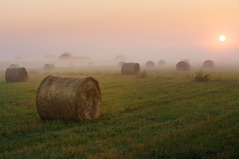 Тихое летнее утроphoto preview