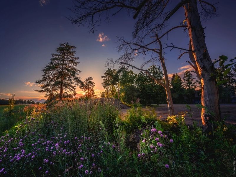 Ленобластьphoto preview