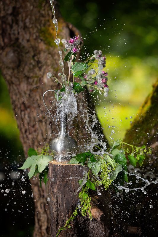 Купание цветущего сорняка )))photo preview