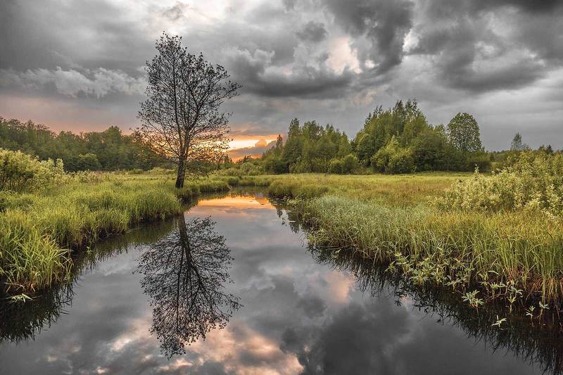 Река Яваньphoto preview