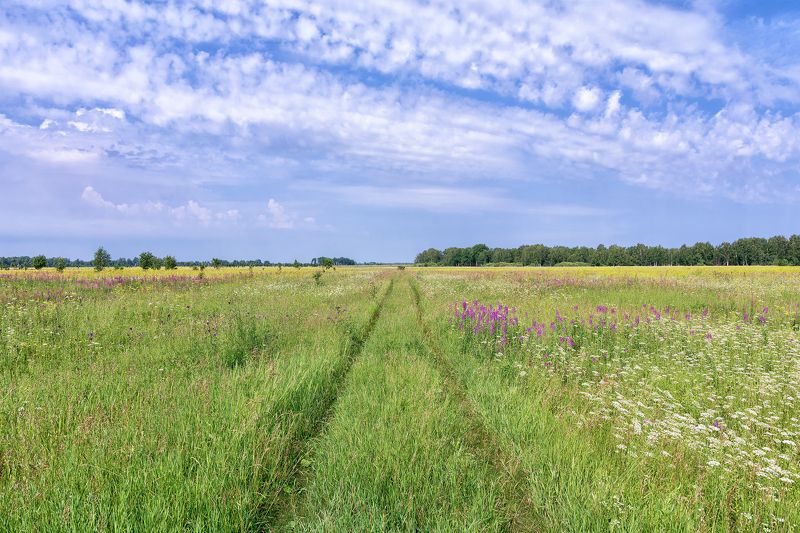 природа, пейзаж, Родные просторы..photo preview