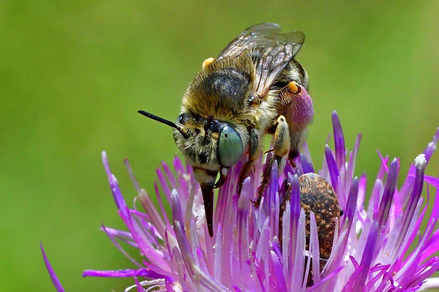, Корнейчук Игорь