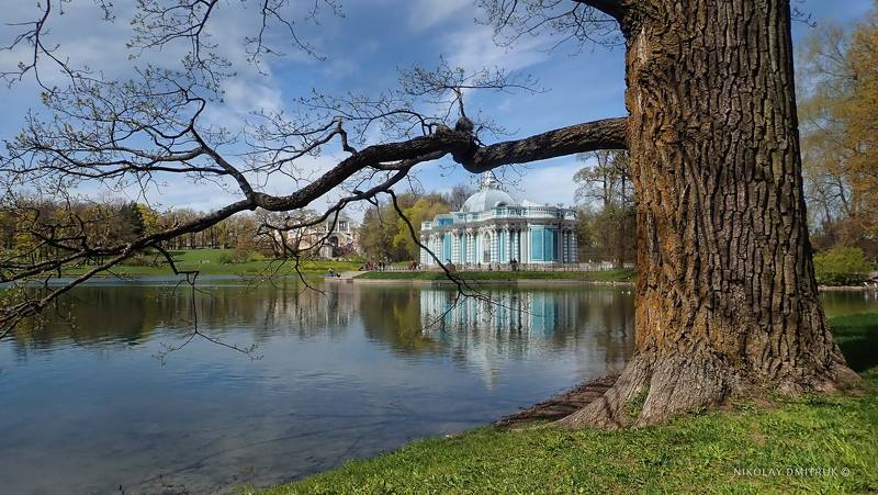 пейзаж 	 озеро. Царское Село.  2022photo preview