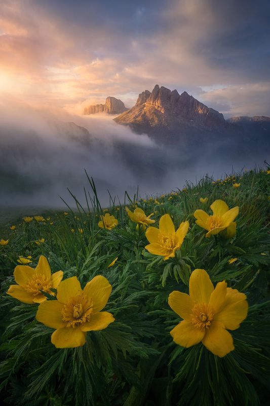 горы, тхач, ачешбоки, большой тхач, карачаево-черкесия, кавказ Горы Ачешбокиphoto preview