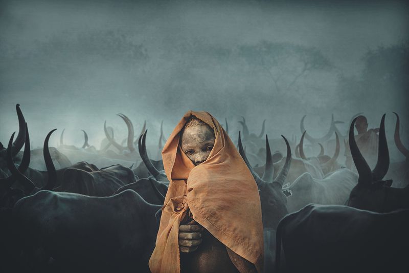 child,people,children,kids,boy,kid,africa,person,people,urban,woman,light,low key,low-key,girl,dark,fog,shadow,mundari,dinka,southsudan,sudan,tribal,tribe,africa,afrika,horns,sunset,sunrise,war,cattle,animal,nature,horn,wild,horned,cow,rural,south_sudan,c Children of Mundari, South Sudanphoto preview
