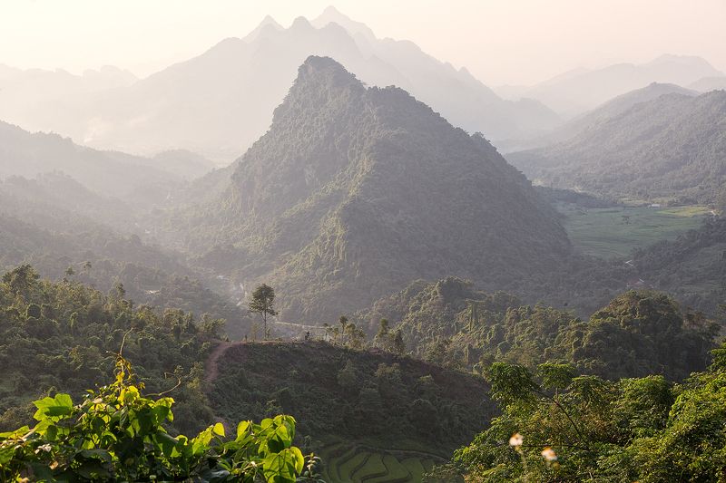 Зубы драконаphoto preview