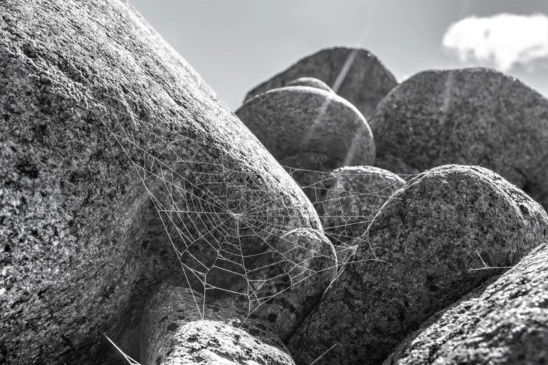 Прообраз интернетаphoto preview