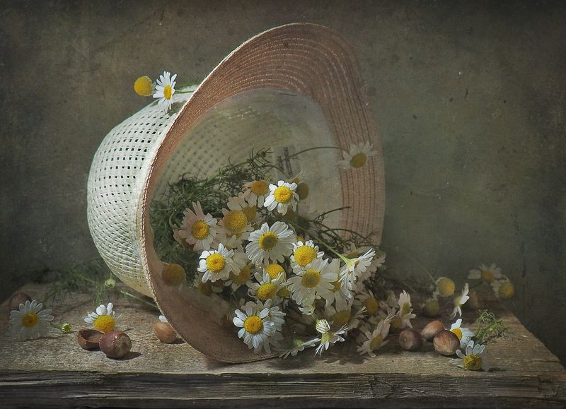 шляпа, ромашки,лето Ромашки спрятались...photo preview