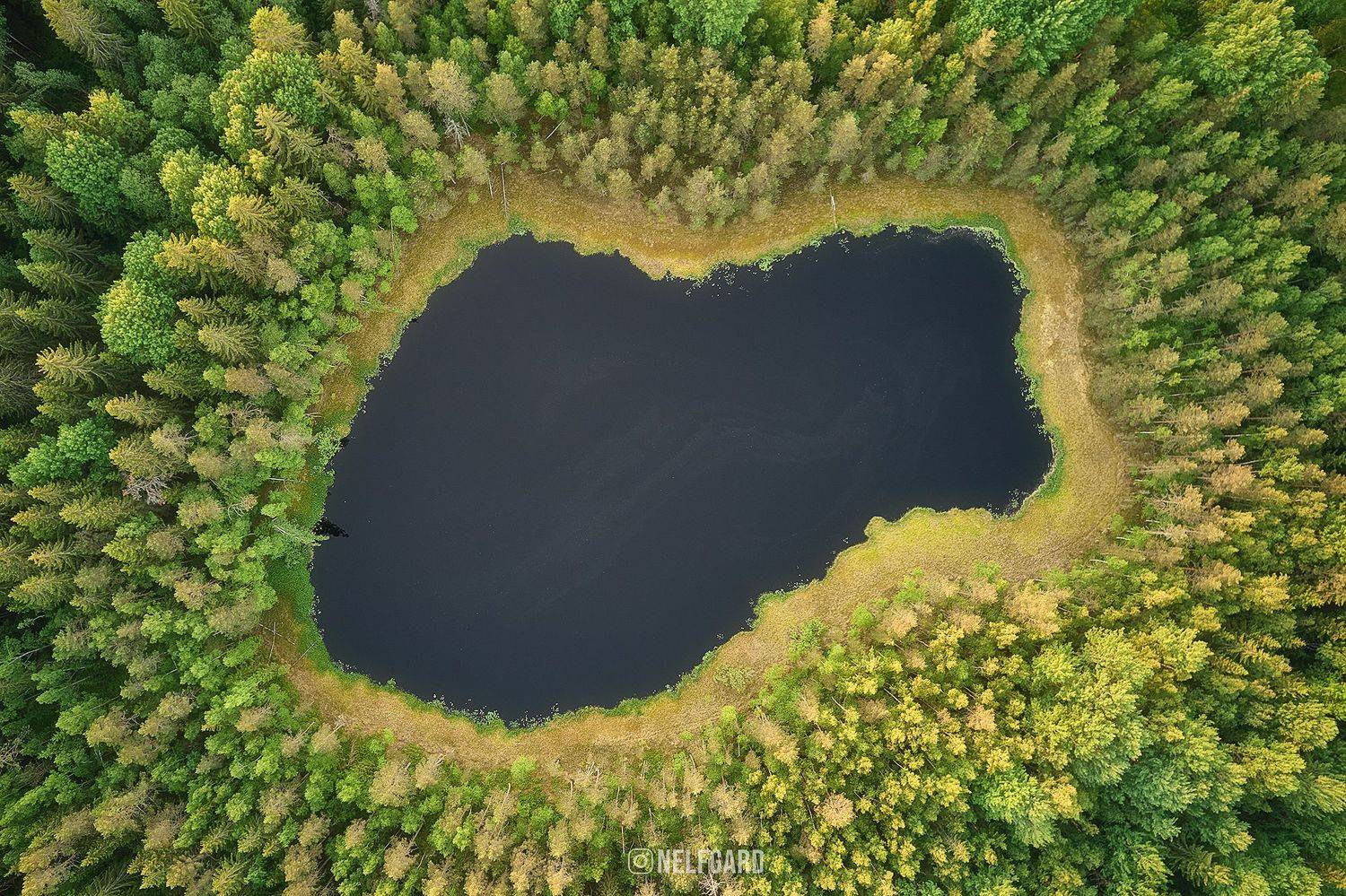 Автор: Чехонин Александр , Чехонин Александр