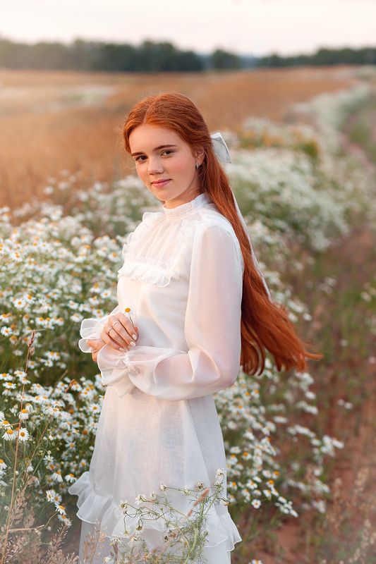 Ромашковый закатphoto preview