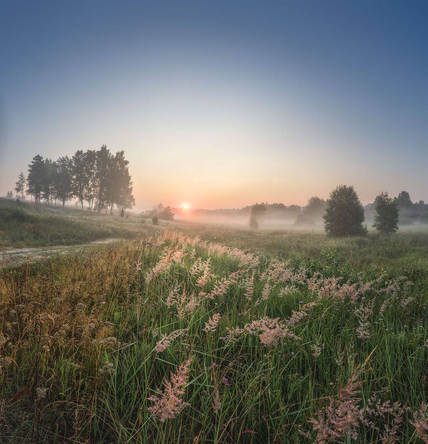 , Николай Андреев