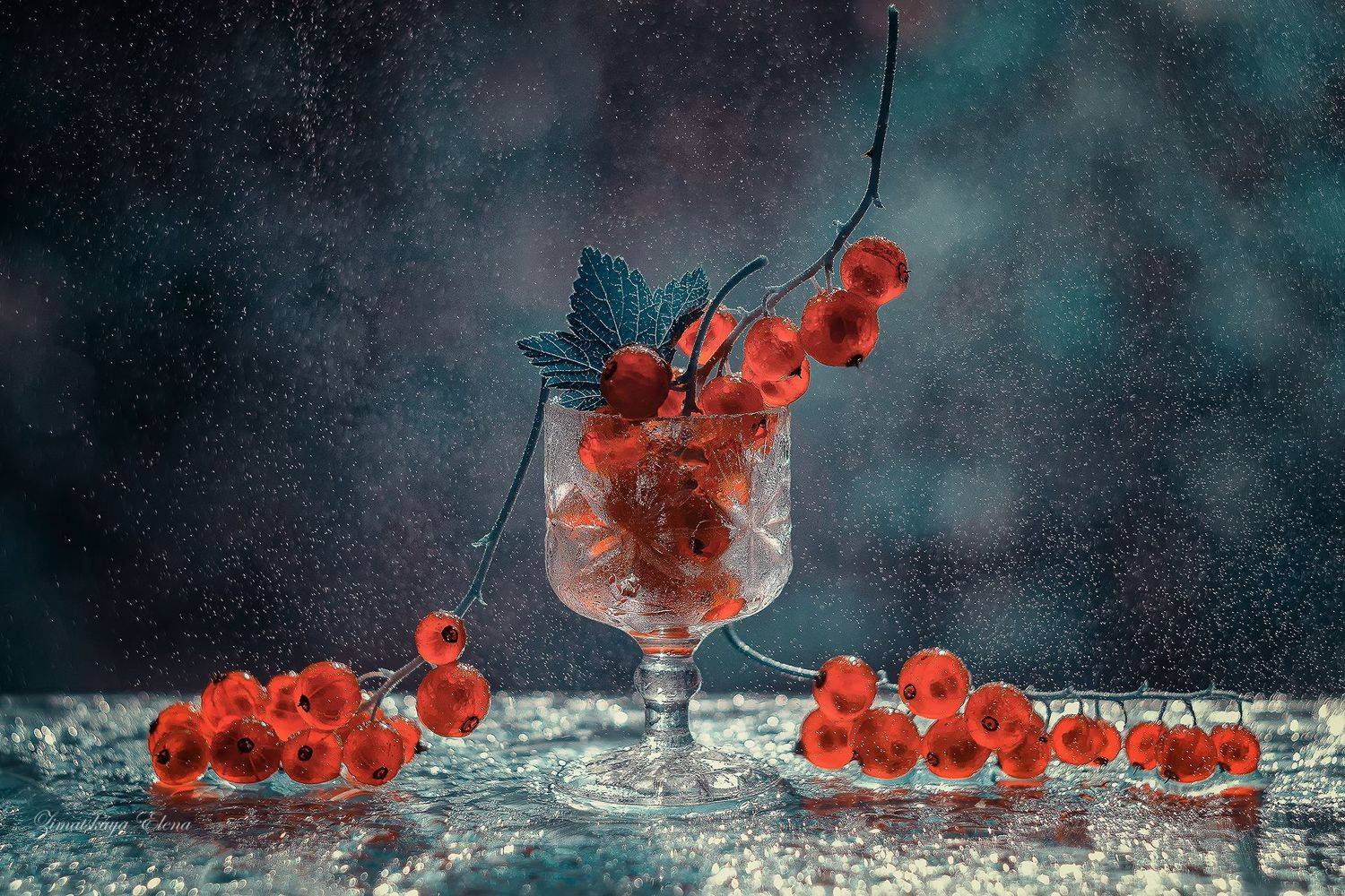 Автор: Елена Зимацкая , Елена Зимацкая