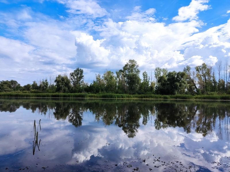 Отражениеphoto preview