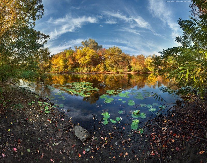 Лес, Облака, Озеро, Осень, Пейзаж, Украина Остров Хортицаphoto preview
