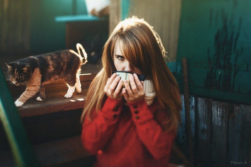 Чаепитиеphoto preview