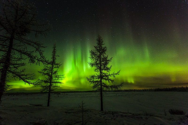 Холодный свет севера.photo preview