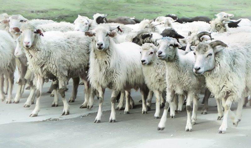 Всем привет !photo preview