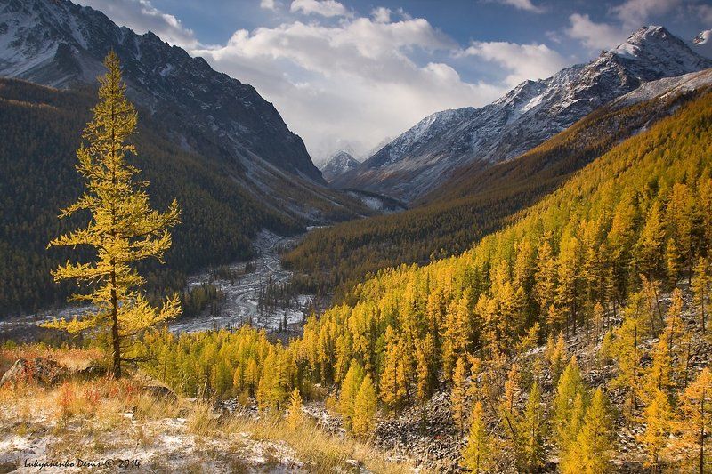 2014, алтай, горы, деревья, маашей, небо, облака, осень, река, россия, сентябрь, снег ***photo preview