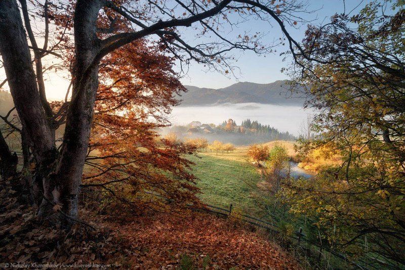 Золото карпатской осениphoto preview