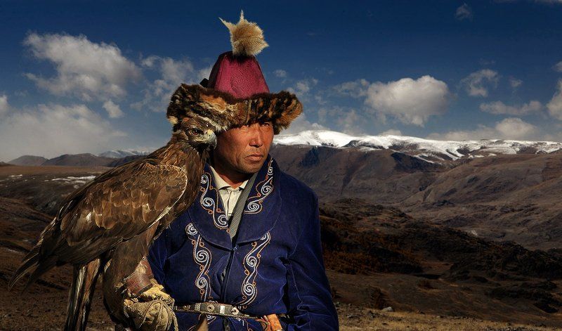 Беркутчи, Ловчая птица, Охота Хищникиphoto preview