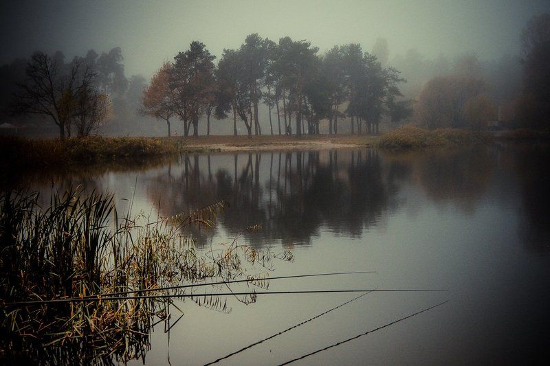 Ранний клевphoto preview