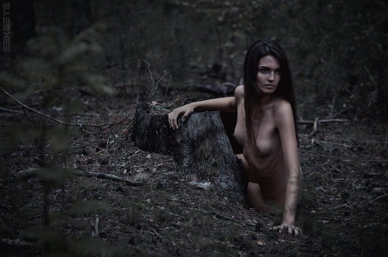 She wolfphoto preview