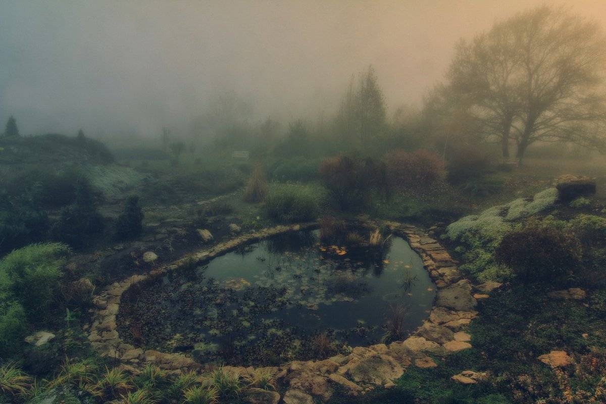 , Михаил  Пилипенко