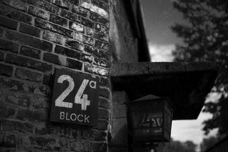 Auschwitzphoto preview