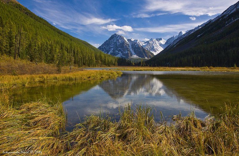 2014, алтай, берег, горы, лиственницы, небо, облака, осень, отражение, пейзаж, река, россия, снег, трава, шавла ***photo preview