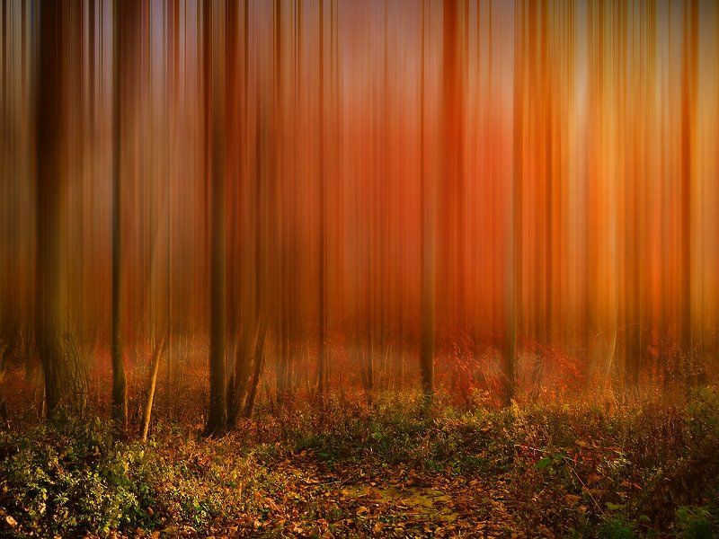 До свидания... фото превью