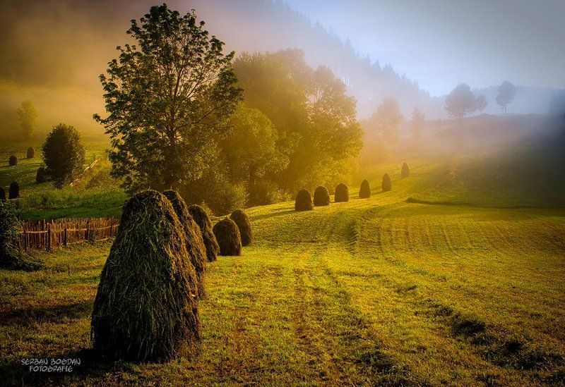 Beautiful sunrisephoto preview