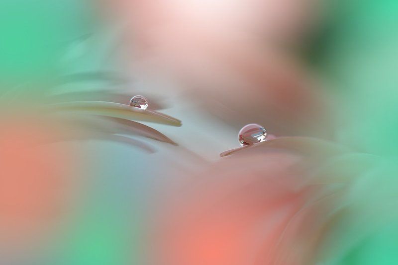 Two Worlds...photo preview