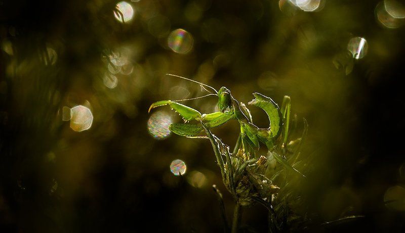 Новое поколение - 2014.photo preview