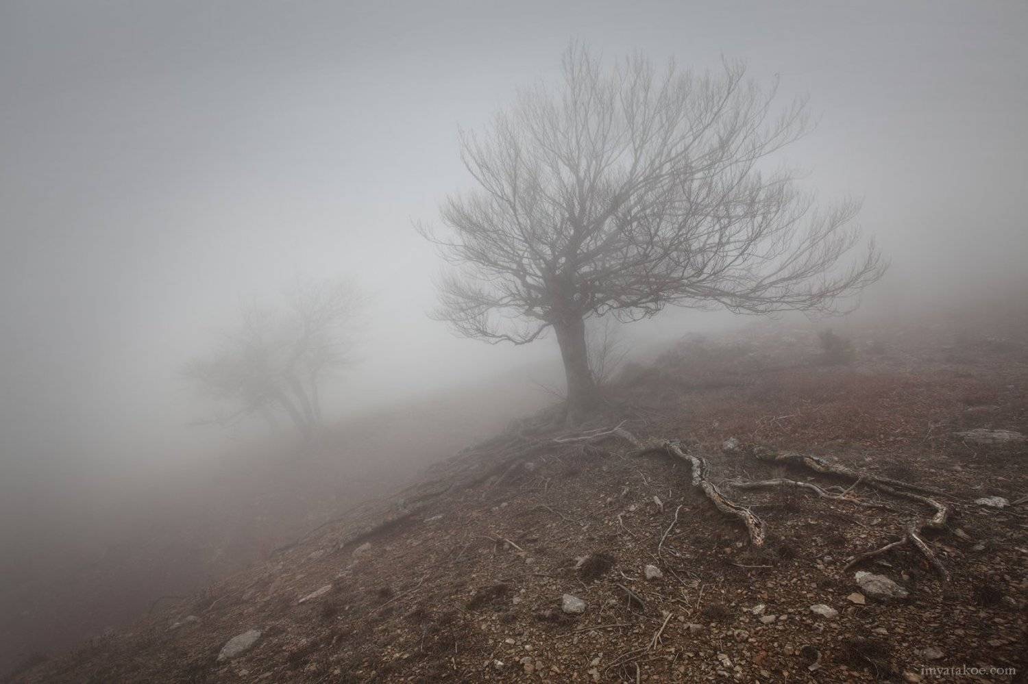 Крым, Туман, Чигинитра, Михаил Псарёв