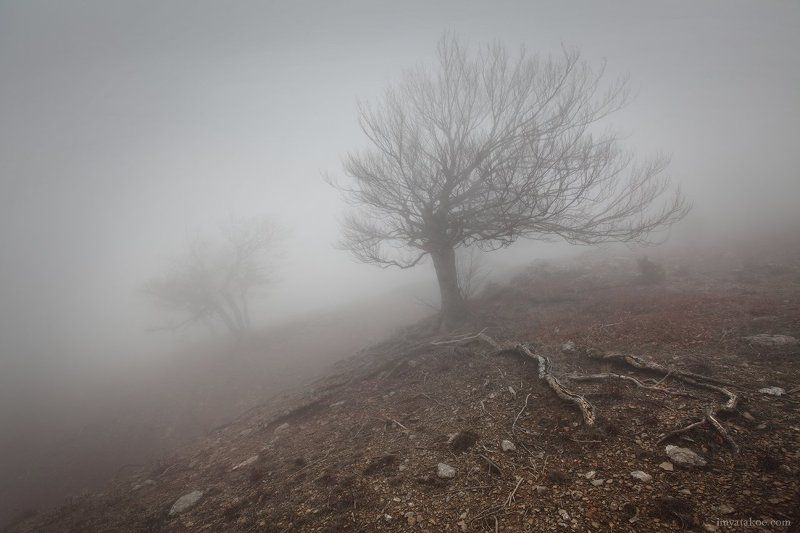 Крым, Туман, Чигинитра нехорошая погодаphoto preview