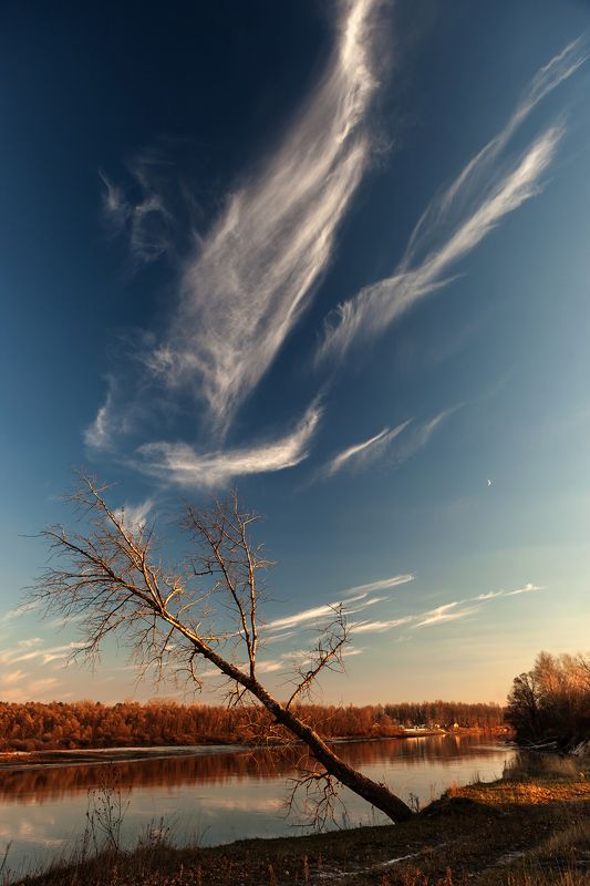 Подари мне крылья...photo preview