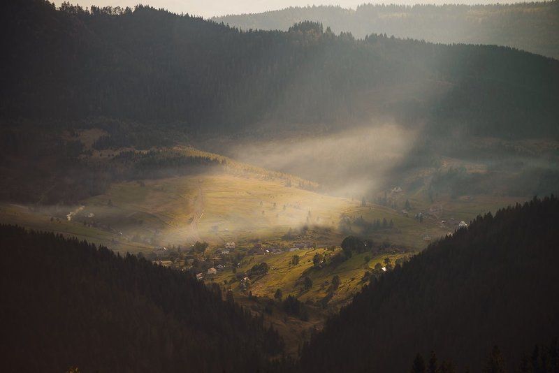 #карпати #захарберкутphoto preview