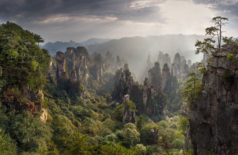 Аватар, Горы, Китай, Пандора Затерянный Мир Пандоры. фото превью