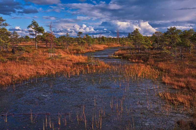 Kemeri National Parkphoto preview