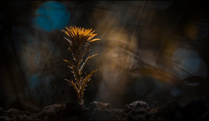 Почему так грустно на душе?photo preview